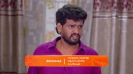 Karthigai Deepam S01 E565 10th August 2024