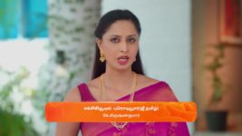 Karthigai Deepam S01 E569 14th August 2024