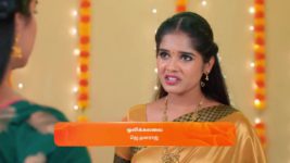 Karthigai Deepam S01 E571 16th August 2024