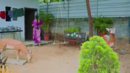 Karthika Deepam S02 E113 Narsimha Has an Evil Plan