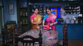 Lakshmi Nivasa S01 E247 5th August 2024