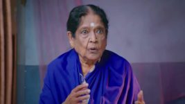 Lakshmi Nivasa S01 E261 14th August 2024