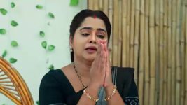 Maamagaru (Star Maa) S01 E289 Good News for Pandu