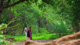 Meghasandesam (Zee Telugu) S01 E71 29th August 2024