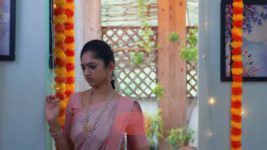 Ninaithale Inikkum S01 E1003 25th August 2024