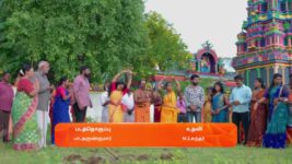 Ninaithale Inikkum S01 E987 9th August 2024