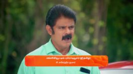 Ninaithale Inikkum S01 E991 13th August 2024