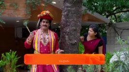 Nindu Noorella Saavasam S01 E317 16th August 2024