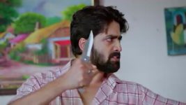 Nuvvu Nenu Prema S01 E710 Padmavathi, Vikramaditya in Love