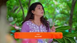 Prema Entha Maduram S01 E1331 10th August 2024