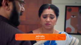 Sandhya Raagam (Tamil) S01 E283 17th August 2024