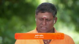 Sandhya Raagam (Tamil) S01 E288 22nd August 2024