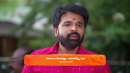 Sandhya Raagam (Tamil) S01 E289 23rd August 2024