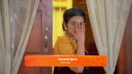 Sandhya Raagam (Tamil) S01 E290 24th August 2024