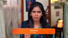 Sandhya Raagam (Tamil) S01 E295 29th August 2024