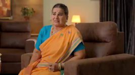 Satyabhama S01 E166 Jayamma Defends Krish, Satya