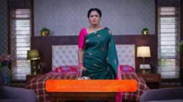 Shravani Subramanya S01 E104 8th August 2024