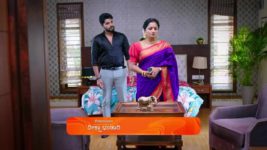 Shravani Subramanya S01 E117 27th August 2024