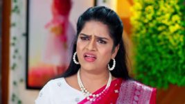 Trinayani (Telugu) S01 E1317 14th August 2024