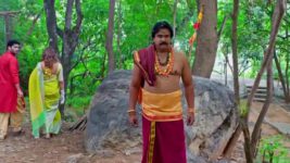 Trinayani (Telugu) S01 E1321 19th August 2024