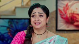 Trinayani (Telugu) S01 E1331 29th August 2024