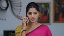 Janaki Ramayya Gari Manavaralu S01 E91 19th August 2024