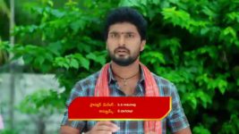 Maguva O Maguva S01 E160 Ravi Babu's Selfish Motive