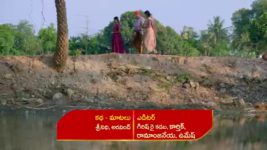 Renuka Yellamma (Star Maa) S01 E441 Mangaladevi's Thoughtful Advice