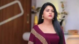 Shreegowri S01 E134 Appu and Raghuram's deal is revealed