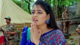 Jagadhatri (zee telugu) S01 E340 19th September 2024