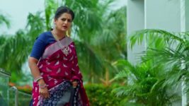 Jagadhatri (zee telugu) S01 E342 21st September 2024