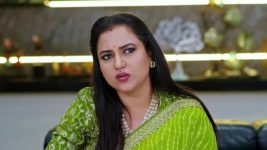 Janaki Ramayya Gari Manavaralu S01 E116 17th September 2024