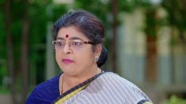 Janaki Ramayya Gari Manavaralu S01 E118 19th September 2024