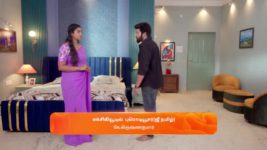 Karthigai Deepam S01 E600 10th September 2024