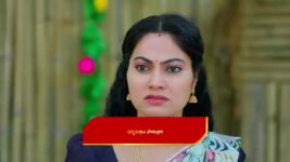 Maamagaru (Star Maa) S01 E318 Vasantha, Lakshmi Oppose Ganga