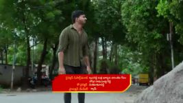 Malli Nindu Jabili S01 E752 Gowtham Seeks Answers