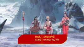 Renuka Yellamma (Star Maa) S01 E457 Mrugashira Reassures Karthaveerya