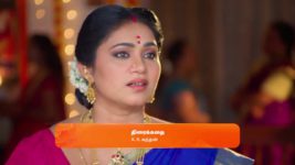 Sandhya Raagam (Tamil) S01 E312 10th September 2024