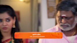 Sandhya Raagam (Tamil) S01 E319 17th September 2024