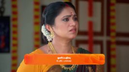 Sandhya Raagam (Tamil) S01 E333 1st October 2024