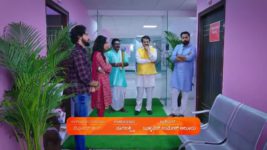 Shravani Subramanya S01 E141 30th September 2024