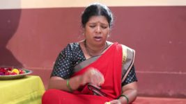 Shreegowri S01 E162 Appu accepts marriage proposal