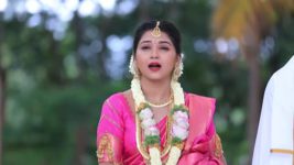 Shreegowri S01 E172 Mangalamma feels for Appu and Gowri