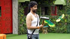 Bigg Boss Telugu (Star Maa) S08 E24 Day 23: Welcome, New Chief