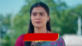 Chinni (Star Maa) S01 E55 Harishchandra's Advice to Kaveri