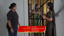 Gunde Ninda Gudi Gantalu S01 E241 Prabavathi's Secret Is Exposed