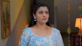 Gunde Ninda Gudi Gantalu S01 E243 Prabavathi's Plea to Rohini