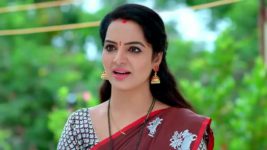 Punarvivaha S01E390 17th September 2022 Full Episode