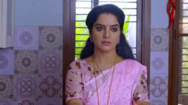 Punarvivaha S01E88 20th November 2021 Full Episode