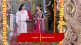 Renuka Yellamma (Star Maa) S01 E475 Renu Maharaja's Request to Yellamma